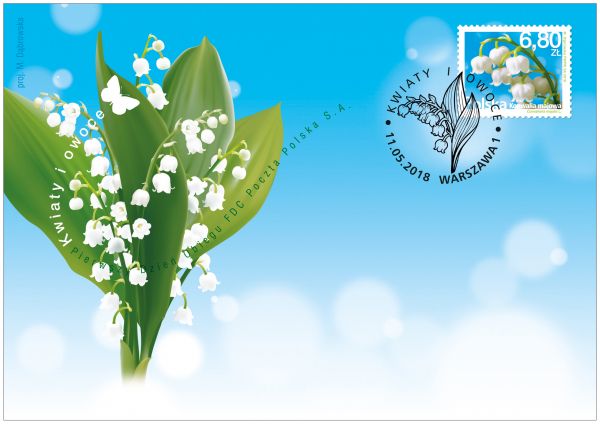 3dRose Grußkarten-Set 'Blumen Und Früchte' – 6 Stück, 15,2 X 15,2 Cm, Blanko Innen